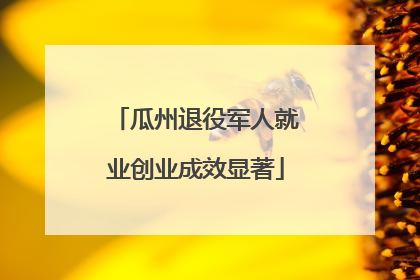 瓜州退役军人就业创业成效显著