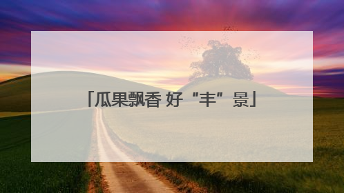 瓜果飘香 好“丰”景