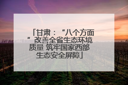 甘肃：“八个方面”改善全省生态环境质量 筑牢国家西部生态安全屏障