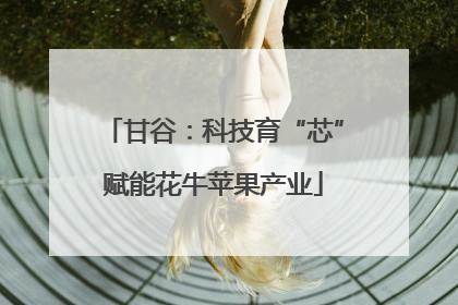 甘谷：科技育“芯”赋能花牛苹果产业