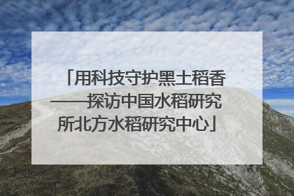 用科技守护黑土稻香——探访中国水稻研究所北方水稻研究中心