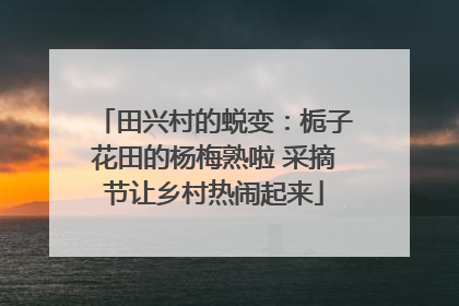 田兴村的蜕变：栀子花田的杨梅熟啦 采摘节让乡村热闹起来