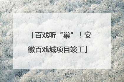 百戏听“巢”！安徽百戏城项目竣工