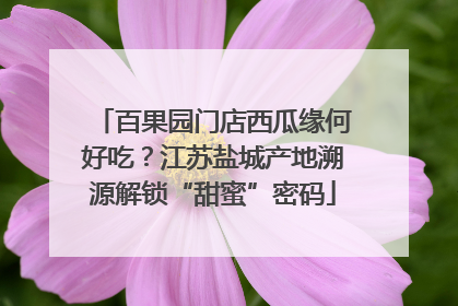 百果园门店西瓜缘何好吃？江苏盐城产地溯源解锁“甜蜜”密码