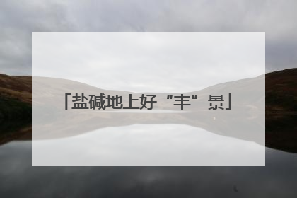 盐碱地上好“丰”景