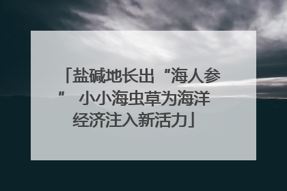 盐碱地长出“海人参” 小小海虫草为海洋经济注入新活力