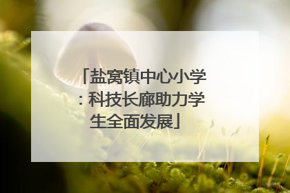 盐窝镇中心小学：科技长廊助力学生全面发展