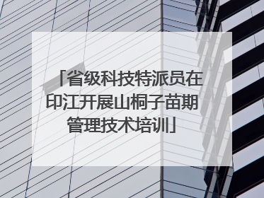 省级科技特派员在印江开展山桐子苗期管理技术培训