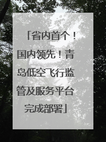省内首个！国内领先！青岛低空飞行监管及服务平台完成部署