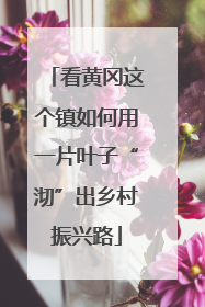 看黄冈这个镇如何用一片叶子“沏”出乡村振兴路