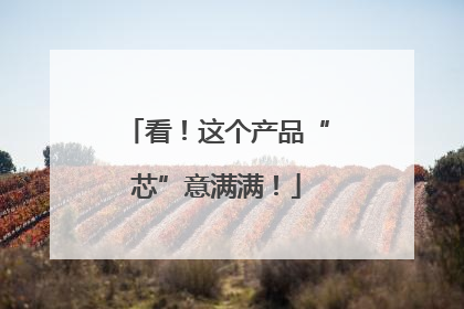 看！这个产品“芯”意满满！