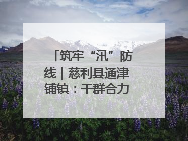 筑牢“汛”防线｜慈利县通津铺镇：干群合力抗击洪灾