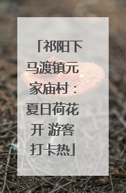 祁阳下马渡镇元家庙村：夏日荷花开 游客打卡热