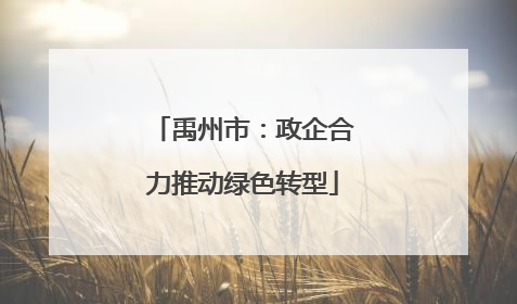 禹州市：政企合力推动绿色转型