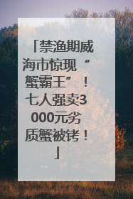 禁渔期威海市惊现“蟹霸王”！七人强卖3000元劣质蟹被铐！