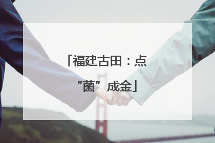 福建古田：点“菌”成金