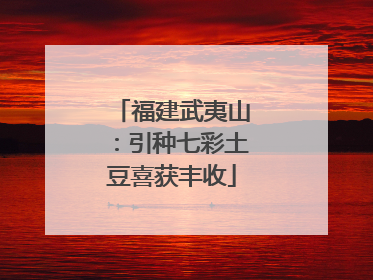 福建武夷山：引种七彩土豆喜获丰收