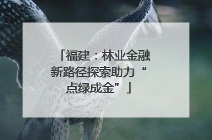 福建：林业金融新路径探索助力“点绿成金”