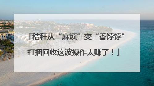 秸秆从“麻烦”变“香饽饽” 打捆回收这波操作太赚了！