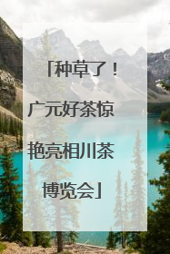 种草了！广元好茶惊艳亮相川茶博览会