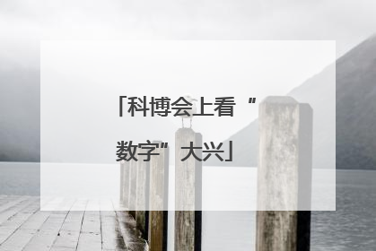 科博会上看“数字”大兴