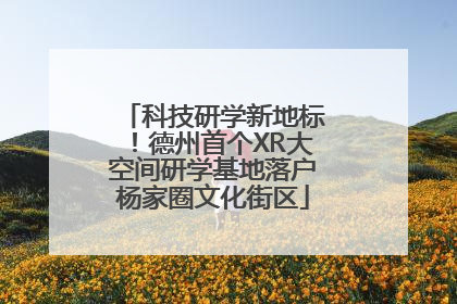 科技研学新地标！德州首个XR大空间研学基地落户杨家圈文化街区
