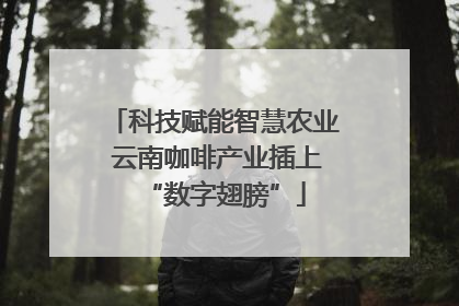 科技赋能智慧农业 云南咖啡产业插上“数字翅膀”