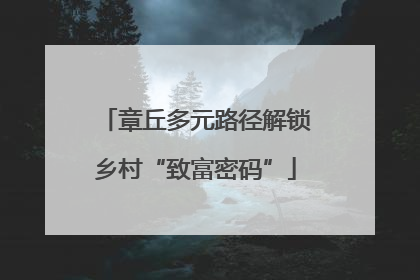 章丘多元路径解锁乡村“致富密码”