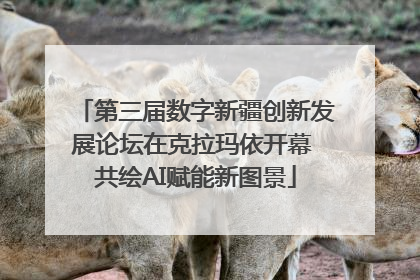 第三届数字新疆创新发展论坛在克拉玛依开幕 共绘AI赋能新图景