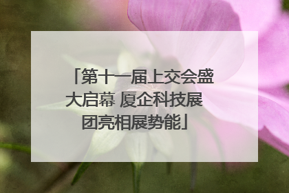 第十一届上交会盛大启幕 厦企科技展团亮相展势能