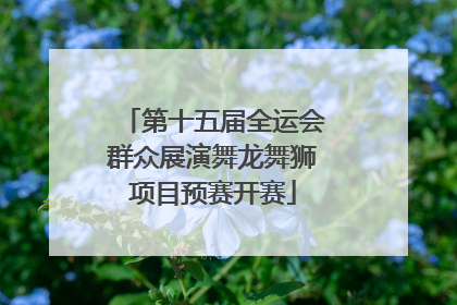 第十五届全运会群众展演舞龙舞狮项目预赛开赛