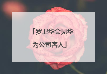 罗卫华会见华为公司客人