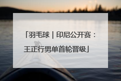 羽毛球｜印尼公开赛：王正行男单首轮晋级
