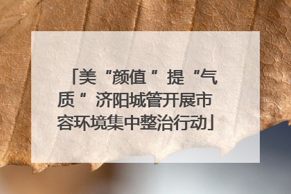 美“颜值 ”提“气质 ”济阳城管开展市容环境集中整治行动