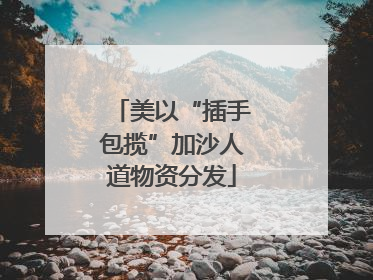 美以“插手包揽”加沙人道物资分发