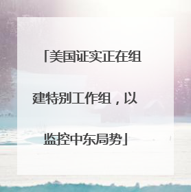 美国证实正在组建特别工作组，以监控中东局势