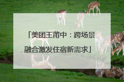美团王莆中：跨场景融合激发住宿新需求