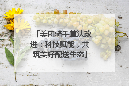 美团骑手算法改进：科技赋能，共筑美好配送生态