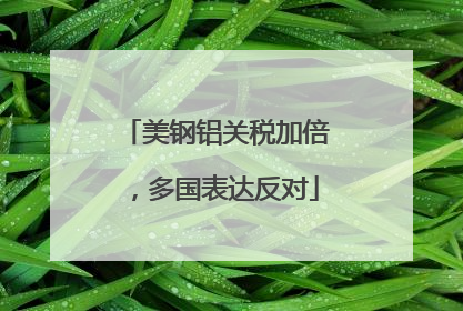 美钢铝关税加倍，多国表达反对