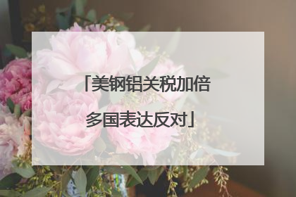 美钢铝关税加倍 多国表达反对
