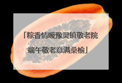 粽香情暖豫灵镇敬老院 端午敬老意满桑榆