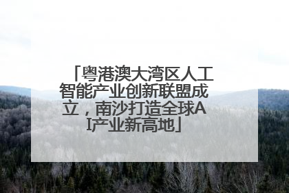 粤港澳大湾区人工智能产业创新联盟成立，南沙打造全球AI产业新高地