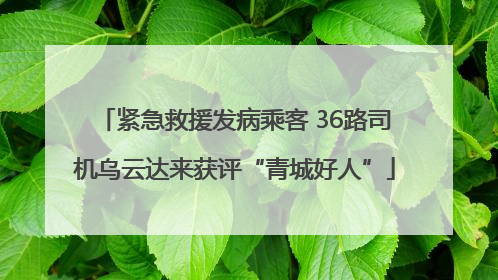 紧急救援发病乘客 36路司机乌云达来获评“青城好人”