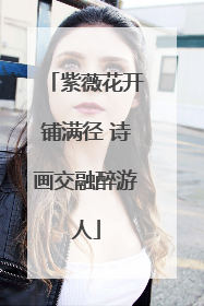 紫薇花开铺满径 诗画交融醉游人