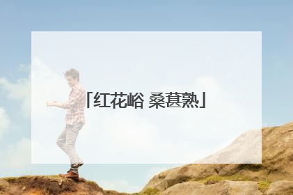 红花峪 桑葚熟
