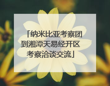 纳米比亚考察团到湘潭天易经开区考察洽谈交流