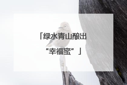 绿水青山酿出“幸福蜜”