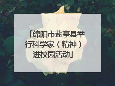 绵阳市盐亭县举行科学家（精神）进校园活动