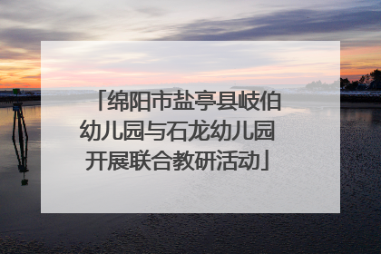 绵阳市盐亭县岐伯幼儿园与石龙幼儿园开展联合教研活动