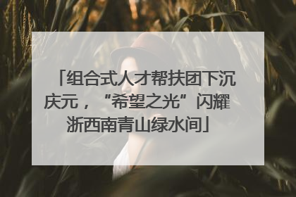组合式人才帮扶团下沉庆元，“希望之光”闪耀浙西南青山绿水间